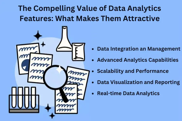 The Compelling Value of Data Analytics Features: What Makes Them Attractive​